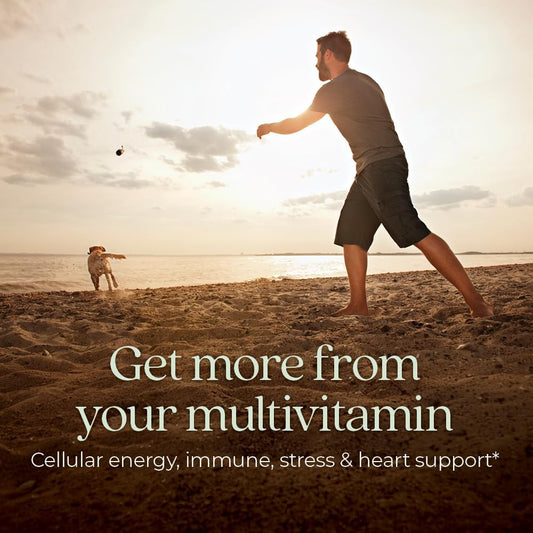New Chapter Men’s Multivitamin, B6, Extra B12, D3, Vitamin C & Zinc, Immune, Heart, Cellular Energy, and Brain Health, Gentle on The Stomach, One Daily, Non-GMO, Gluten-Fre