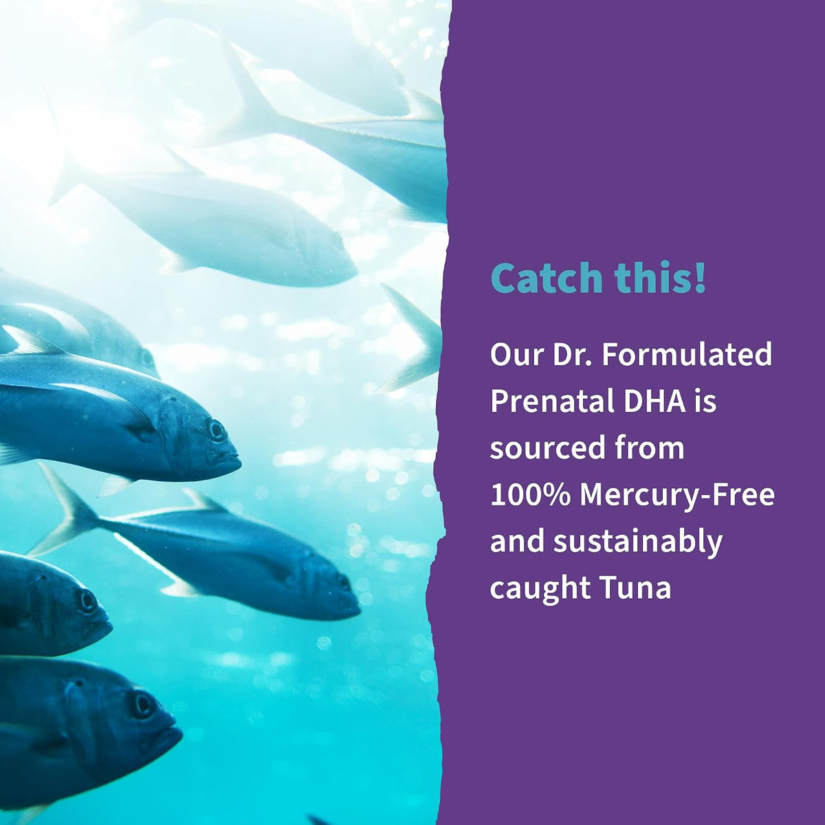 Garden of Life Dr. Formulated Prenatal DHA Fish Oil - 500mg DHA & DPA in Triglyceride Form 100% DV Vitamin D3, Single Source, Mercury Free Omega 3 Supplements for Women's Health, 30 Softgels