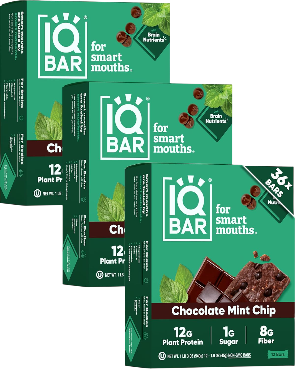 IQBAR Clean Plant Protein Bars - Chocolate Mint Chip - 12/24/36 Count - Keto, Vegan, High Fiber, Gluten and Dairy Free, Low Sugar Snack - Brain and Body Nutrients for Focus, Energy, Meal Replacement