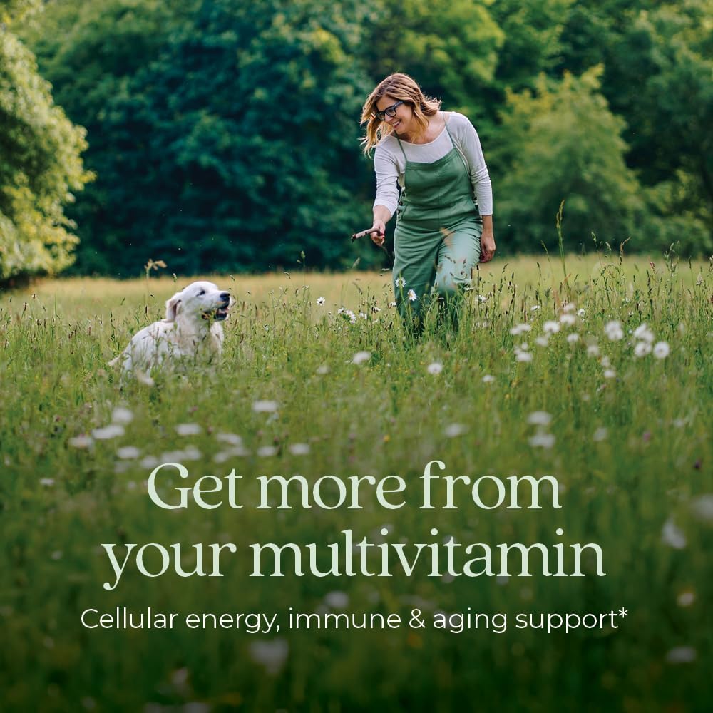 New Chapter Women’s Multivitamin 40+, extra B6 & B12, Biotin for Hair Growth, D3, Vit C, Zinc for Immune & Stress Support, Gentle on an Empty Stomach, One Daily, Non-GMO, Gluten-Free, 48/72/96 Tablets