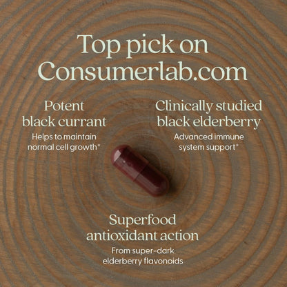 New Chapter Vegan Elderberry Capsules with 64x Concentrated Black Elderberry + Black Currant for Comprehensive Immune Support, Non-GMO Project Verified, Gluten Free, Certified Vegan, 30 Count