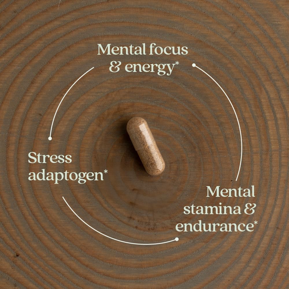 New Chapter Rhodiola Force 300mg with Potent Vegan Rhodiola for Mental Focus & Stamina, Endurance + Mood Support + Stress Adaptogen + Non-GMO Ingredients - 30 Count