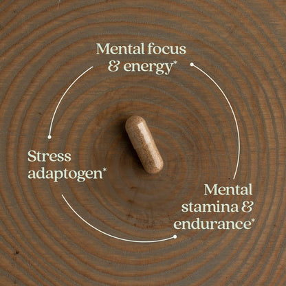 New Chapter Rhodiola Force 300mg with Potent Vegan Rhodiola for Mental Focus & Stamina, Endurance + Mood Support + Stress Adaptogen + Non-GMO Ingredients - 30 Count