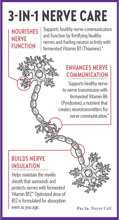 New Chapter Nerve Health Supplement for 3-in-1 Support from Head to Toe - Vitamin B1 Generates Energy for Nerves, Vitamin B6 Enhances Healthy Transmission, Vitamin B12 Builds Insulation, 30ct