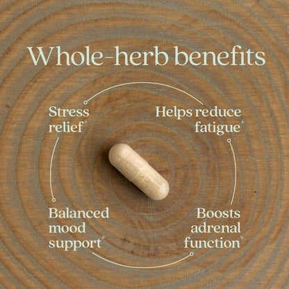 New Chapter Organic Ashwagandha Supplement, One Capsule a Day of Adaptogens for Stress Relief, Mood Support, & Energy, Vegan, 60 Count