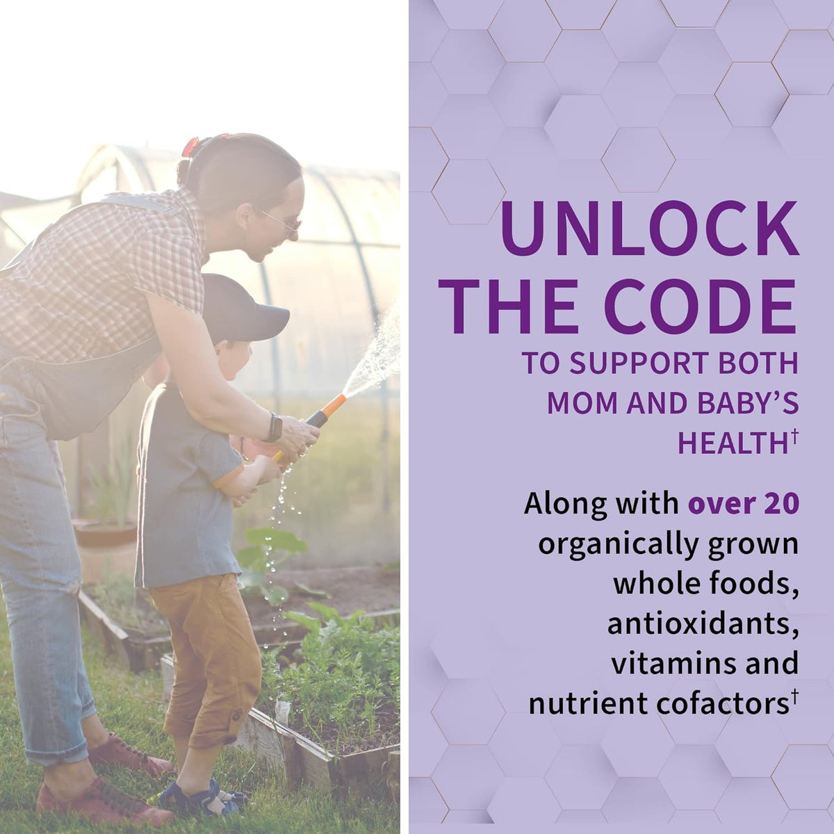 Garden of Life Vitamin Code Raw Prenatal Multivitamin for Women with Iron, Folate, Probiotics and Whole Food Nutrients - Immune and Cellular Energy Support, Non-GMO, Gluten-Free, Kosher, 10 Day Supply