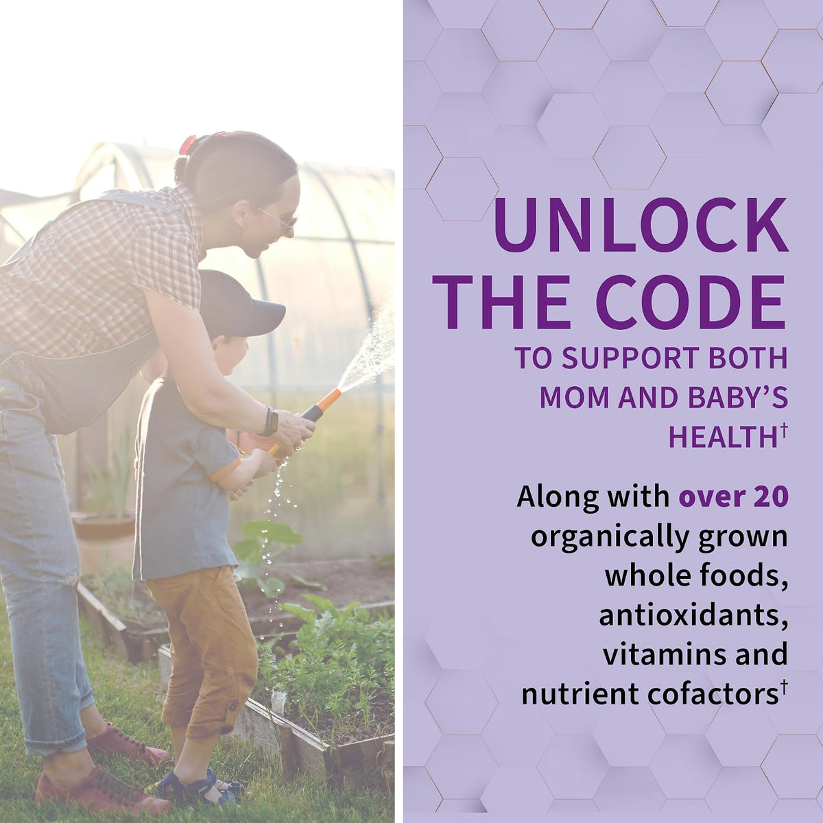 Garden of Life Vitamin Code Raw Prenatal Multivitamin for Women with Iron, Folate, Probiotics and Whole Food Nutrients - Immune and Cellular Energy Support, Non-GMO, Gluten-Free, Kosher, 10 Day Supply