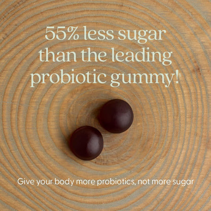 New Chapter Probiotic Gummies for Women and Men, All-Flora (1 Month Supply) – 55% Less Sugar+, Formulated for Holistic Gut Health Support with Probiotics + Prebiotic Fiber + 100% Vegan + Non-GMO