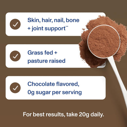 Vital Proteins Collagen Peptides Powder - Chocolate Powder for Hair, Nail, Skin, Bone & Joint Health, 13.5oz
