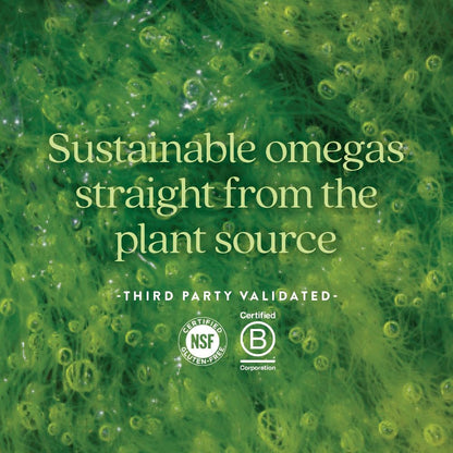 New Chapter Vegan DHA, EPA, and DPA Supplement- Vegan Omega-3 Complex for Heart, Brain, Eye & Joint Support - 30 Softgels