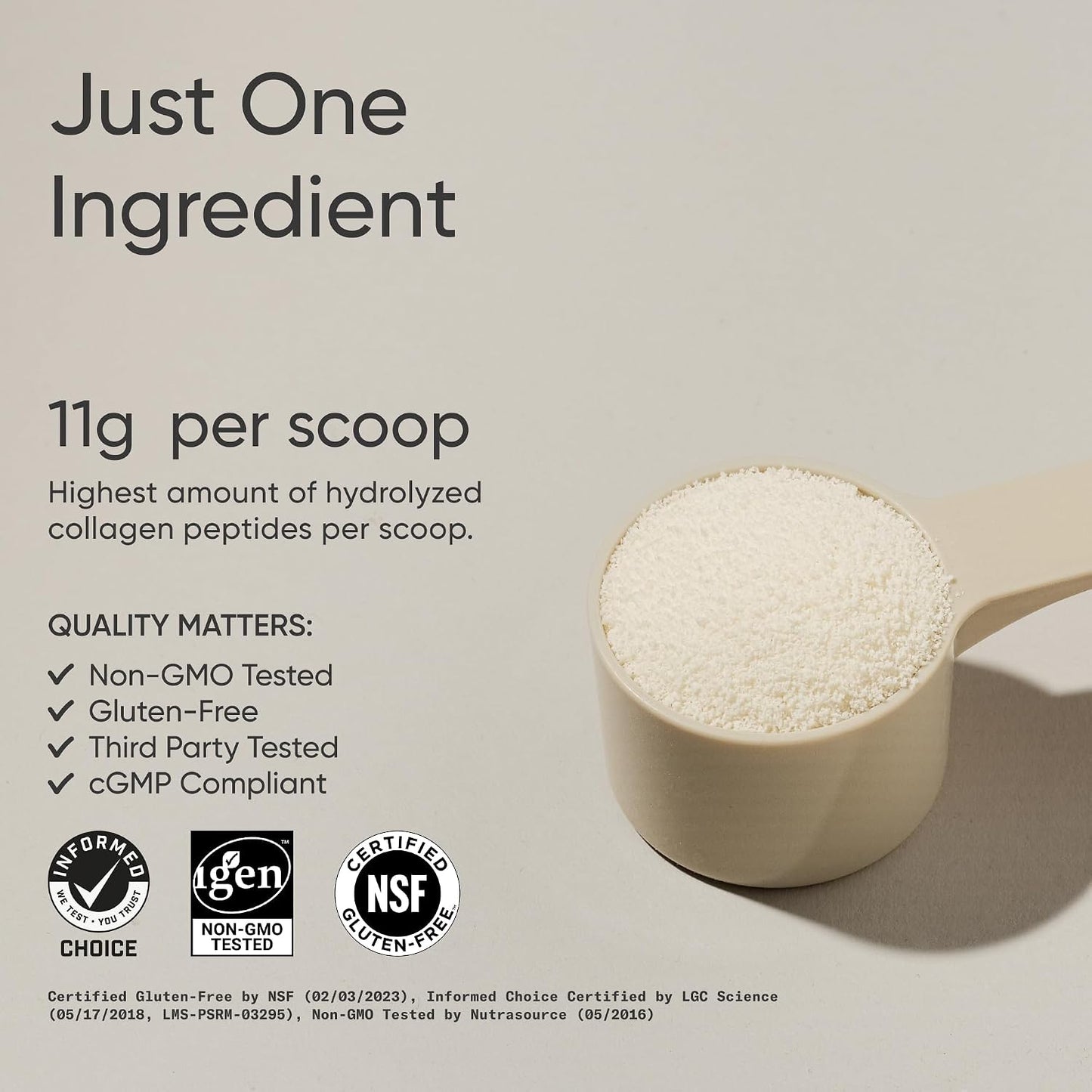Sports Research® Collagen Peptides Protein Powder 16oz (Unflavored) | 11g Grass-Fed Collagen per Scoop · Hair, Skin & Joint Support · Easy to Mix in Coffee & Shakes - 41 Servings