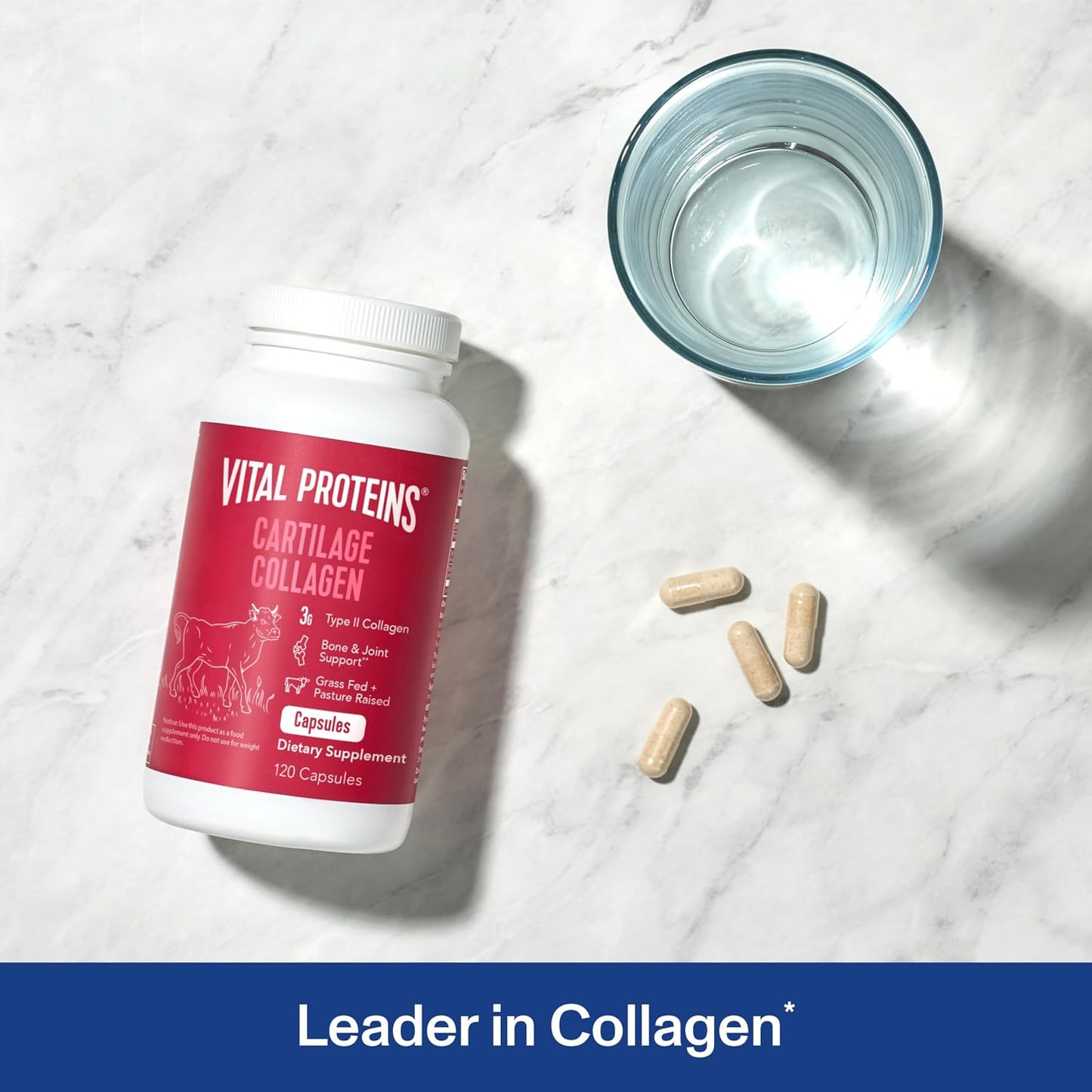 Vital Proteins Cartilage Collagen Pills, Type II Collagen & Chondroitin Sulfate Supplement for Recovery & Healthy Hair, Skin, Nails and Joints - 750 mg Serving with 120 Capsules