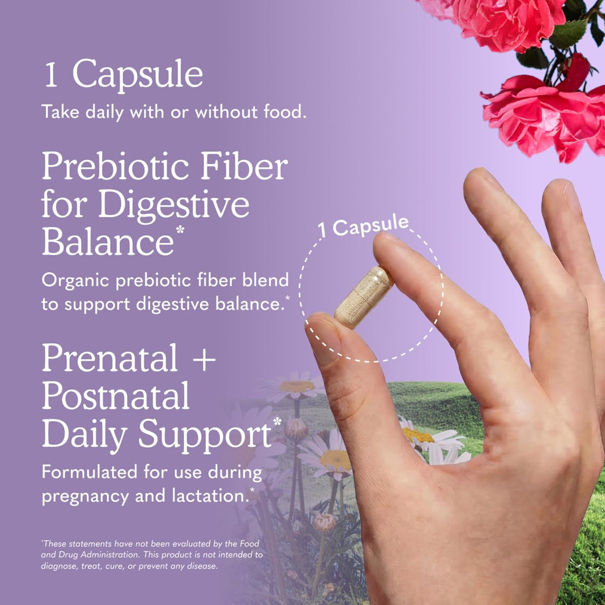 Garden of Life Dr. Formulated Probiotics Once Daily Prenatal - 20 Billion CFU - Dietary Supplement for Mom & Baby - Shelf Stable - 30 Vegetarian Capsules