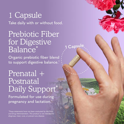 Garden of Life Dr. Formulated Probiotics Once Daily Prenatal - 20 Billion CFU - Dietary Supplement for Mom & Baby - Shelf Stable - 30 Vegetarian Capsules