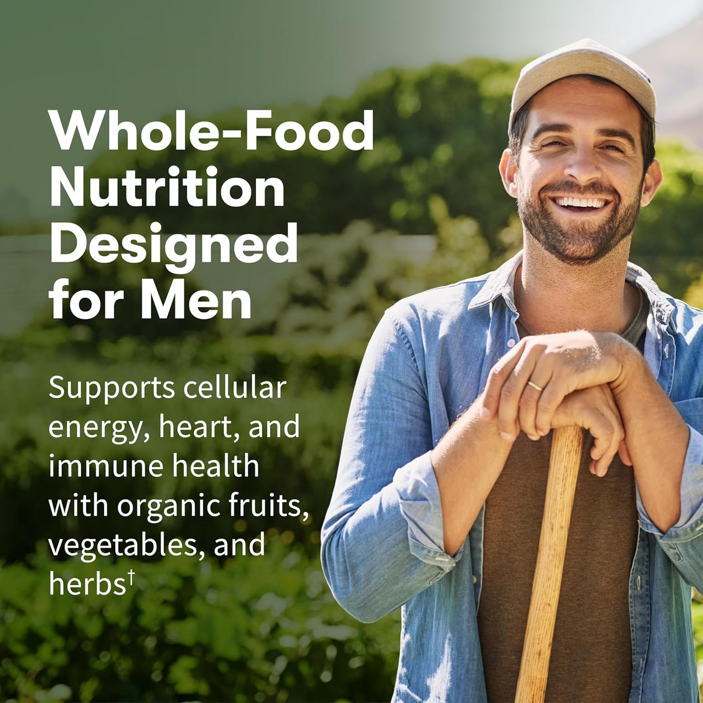 Garden of Life Once Daily Whole Food Multivitamin for Men, Organic Mens Vitamins & Minerals, Vitamin C, Zinc, Vegan, for Health & Well-Being