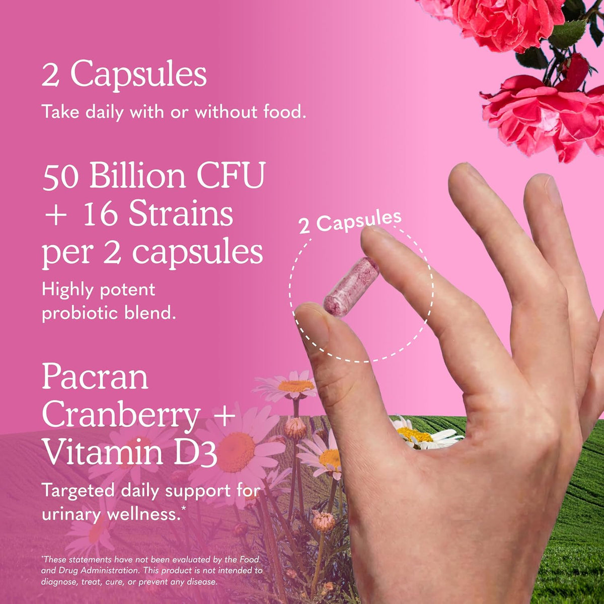 Garden of Life Dr. Formulated Probiotics Urinary Tract+ - 50 Billion CFU - Supports Digestive, Immune & Urinary Tract Health - Shelf Stable - 60 Vegetarian Capsules