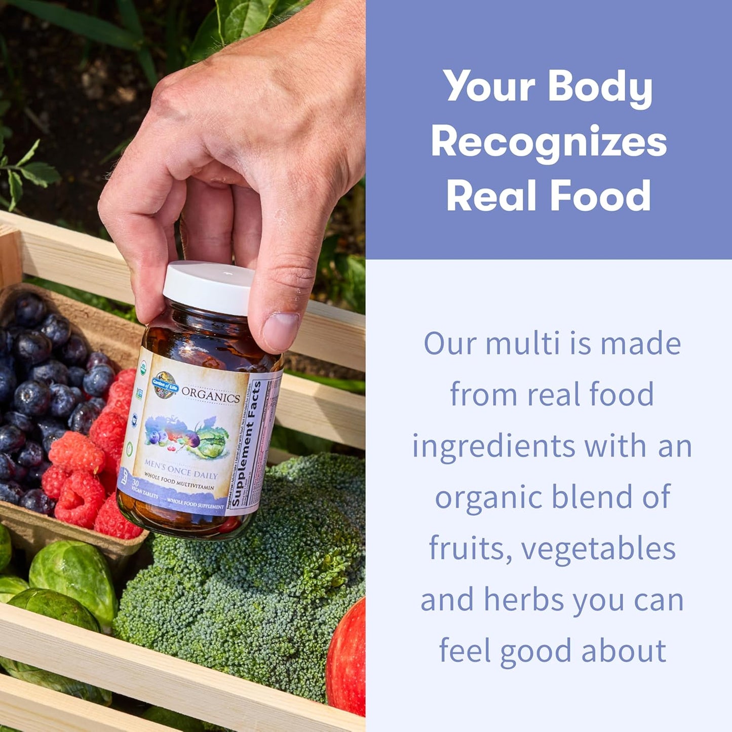 Garden of Life Once Daily Whole Food Multivitamin for Men, Organic Mens Vitamins & Minerals, Vitamin C, Zinc, Vegan, for Health & Well-Being