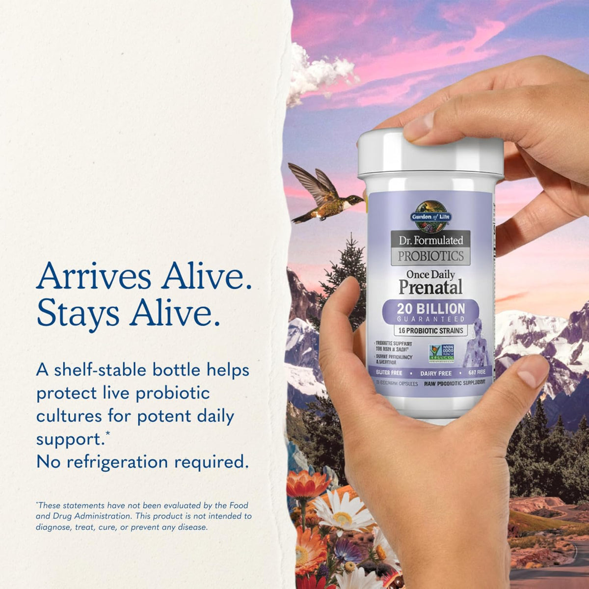 Garden of Life Dr. Formulated Probiotics Once Daily Prenatal - 20 Billion CFU - Dietary Supplement for Mom & Baby - Shelf Stable - 30 Vegetarian Capsules