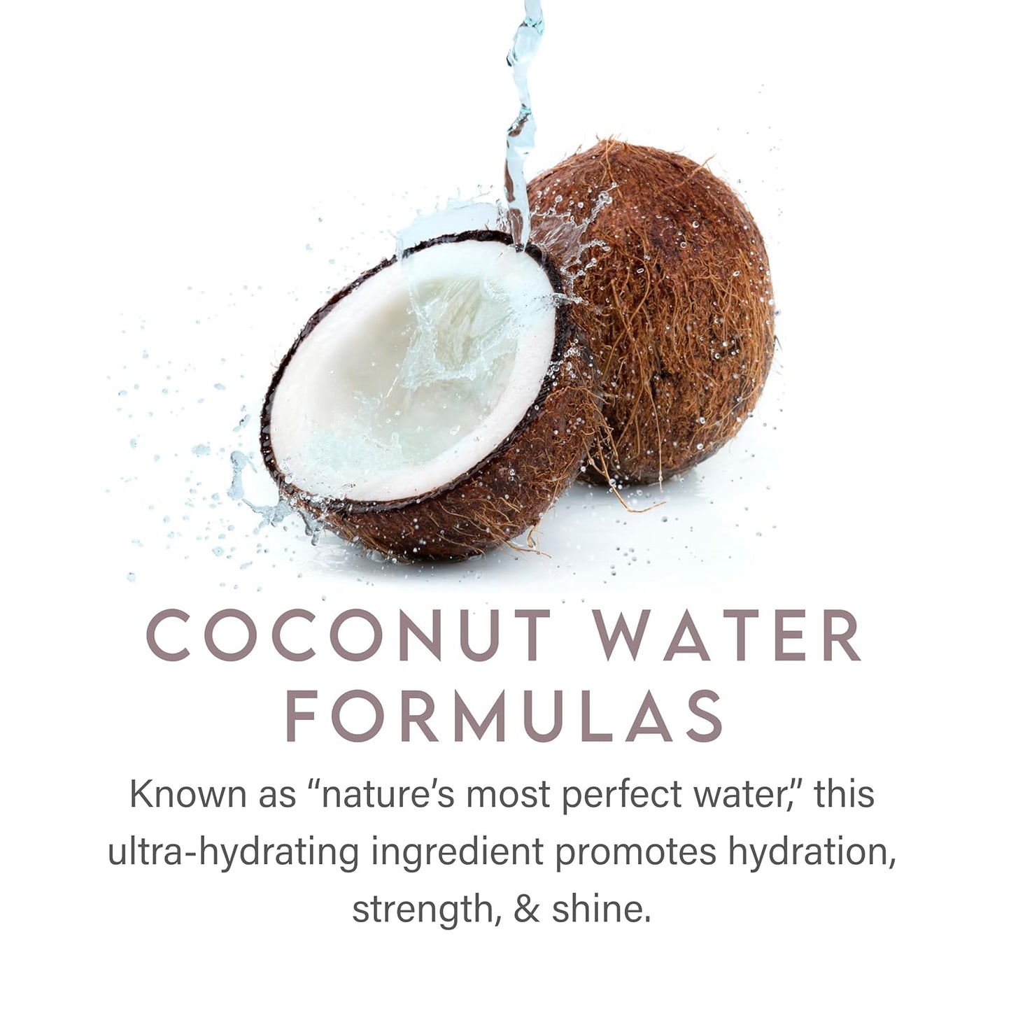ALURAM Coconut Water Daily Conditioner for Men and Women, Clean Hydration and Shine for All Hair Types, 12/33.8 Fl Oz