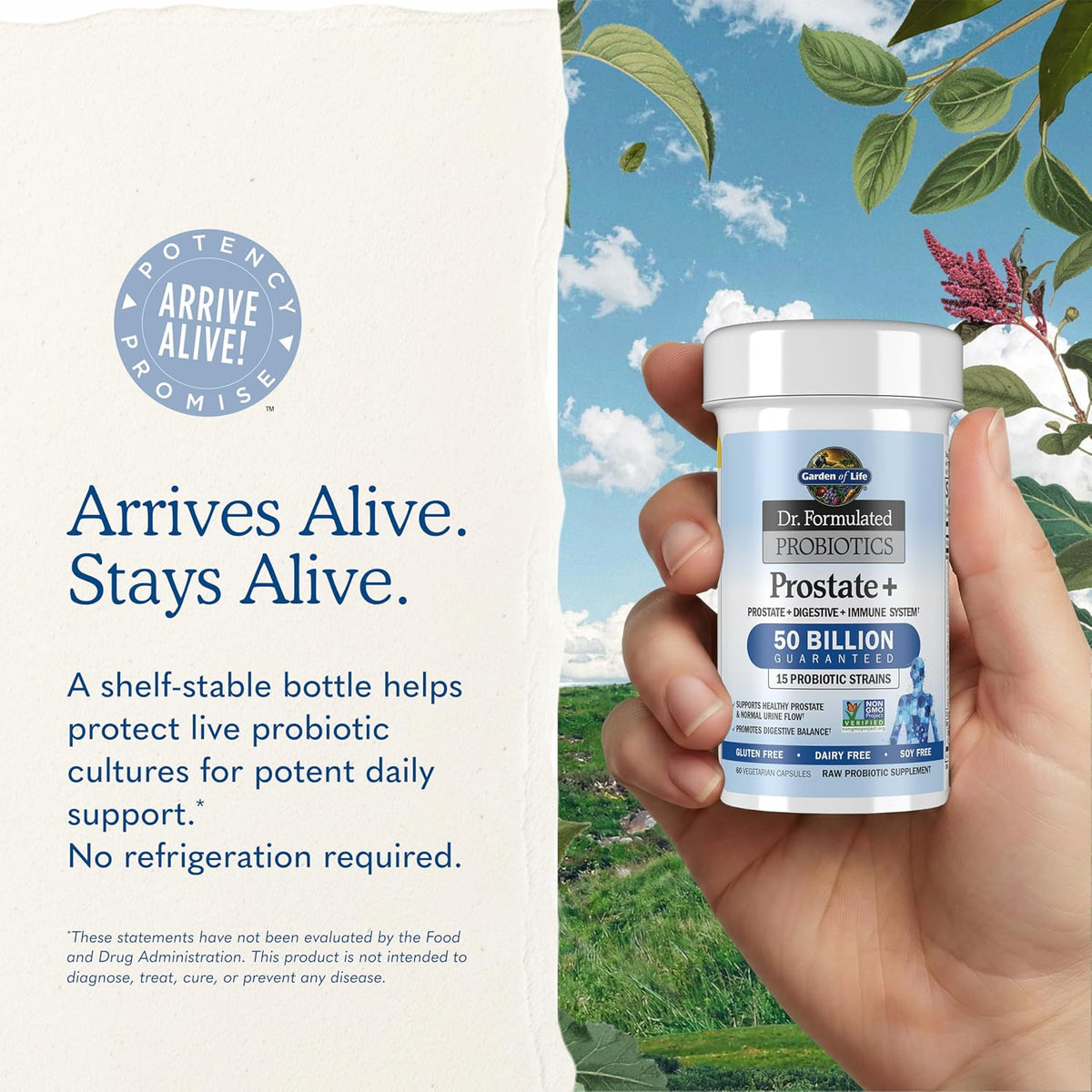 Garden Of Life, Dr Formulated Probiotics Prostate Plus Vcap, 60 Veggie Caps