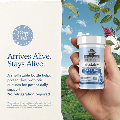 Garden Of Life, Dr Formulated Probiotics Prostate Plus Vcap, 60 Veggie Caps