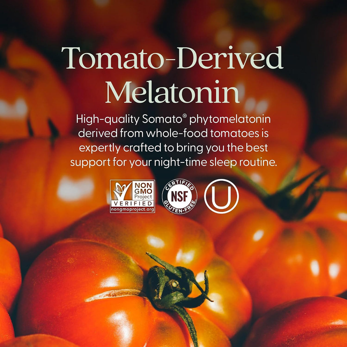 New Chapter Plant Melatonin 2mg - Sleep Aid for Adults with No Next-Day Grogginess, Nature-Inspired Sleep Formula Made with Melatonin from Tomato + Tart Cherry & Ashwagandha – Non-GMO, 30ct