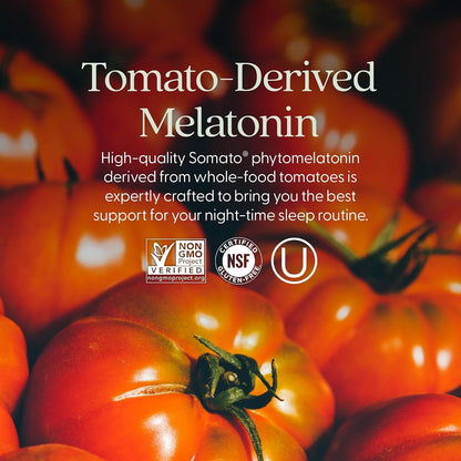 New Chapter Plant Melatonin 2mg - Sleep Aid for Adults with No Next-Day Grogginess, Nature-Inspired Sleep Formula Made with Melatonin from Tomato + Tart Cherry & Ashwagandha – Non-GMO, 30ct