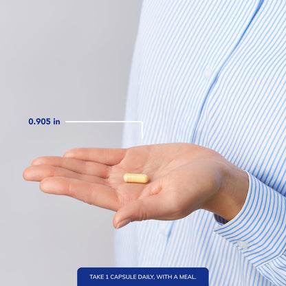 Pure Encapsulations O.N.E. Multivitamin - Once Daily Multivitamin with Antioxidant Complex Metafolin, CoQ10, and Lutein to Support Vision, Cognitive Function, and Cellular Health* - 30/60/120 Capsules