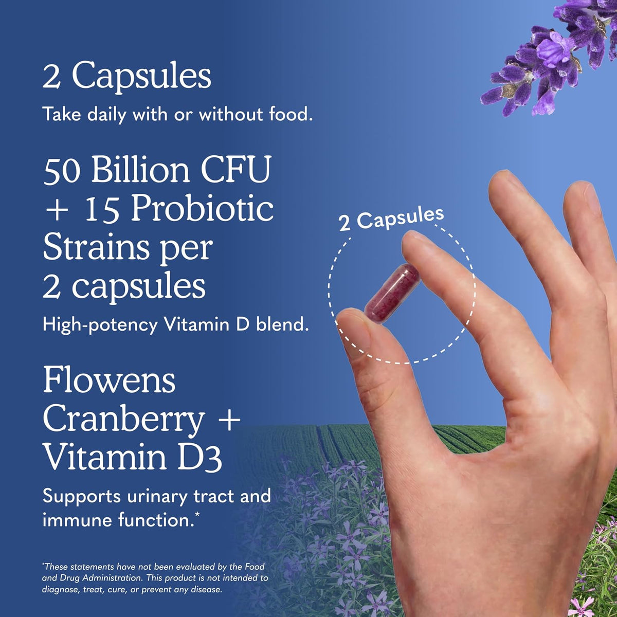 Garden Of Life, Dr Formulated Probiotics Prostate Plus Vcap, 60 Veggie Caps