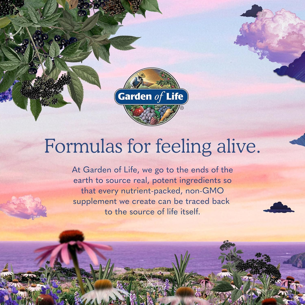 Garden of Life Dr. Formulated Probiotics Urinary Tract+ - 50 Billion CFU - Supports Digestive, Immune & Urinary Tract Health - Shelf Stable - 60 Vegetarian Capsules