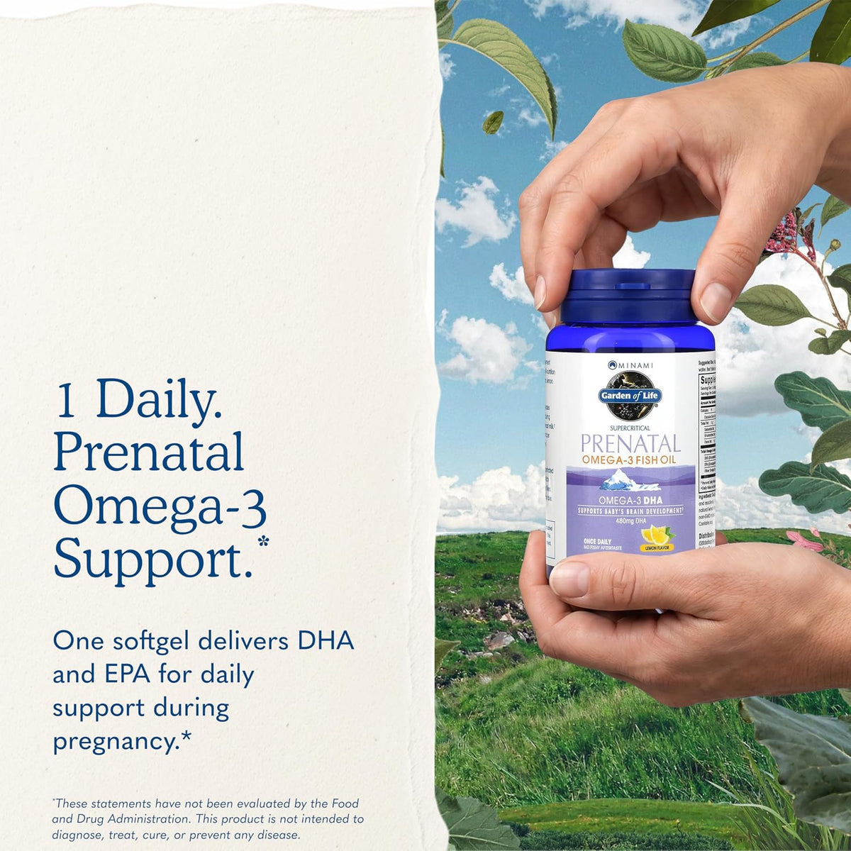 Garden of Life Minami Prenatal Omega-3 DHA Fish Oil Supplement with 480mg DHA & 104mg EPA – Prenatal Omega 3 Fish Oil for Pregnancy & Breastfeeding, Non-GMO, Lemon Flavored, 30 Softgels
