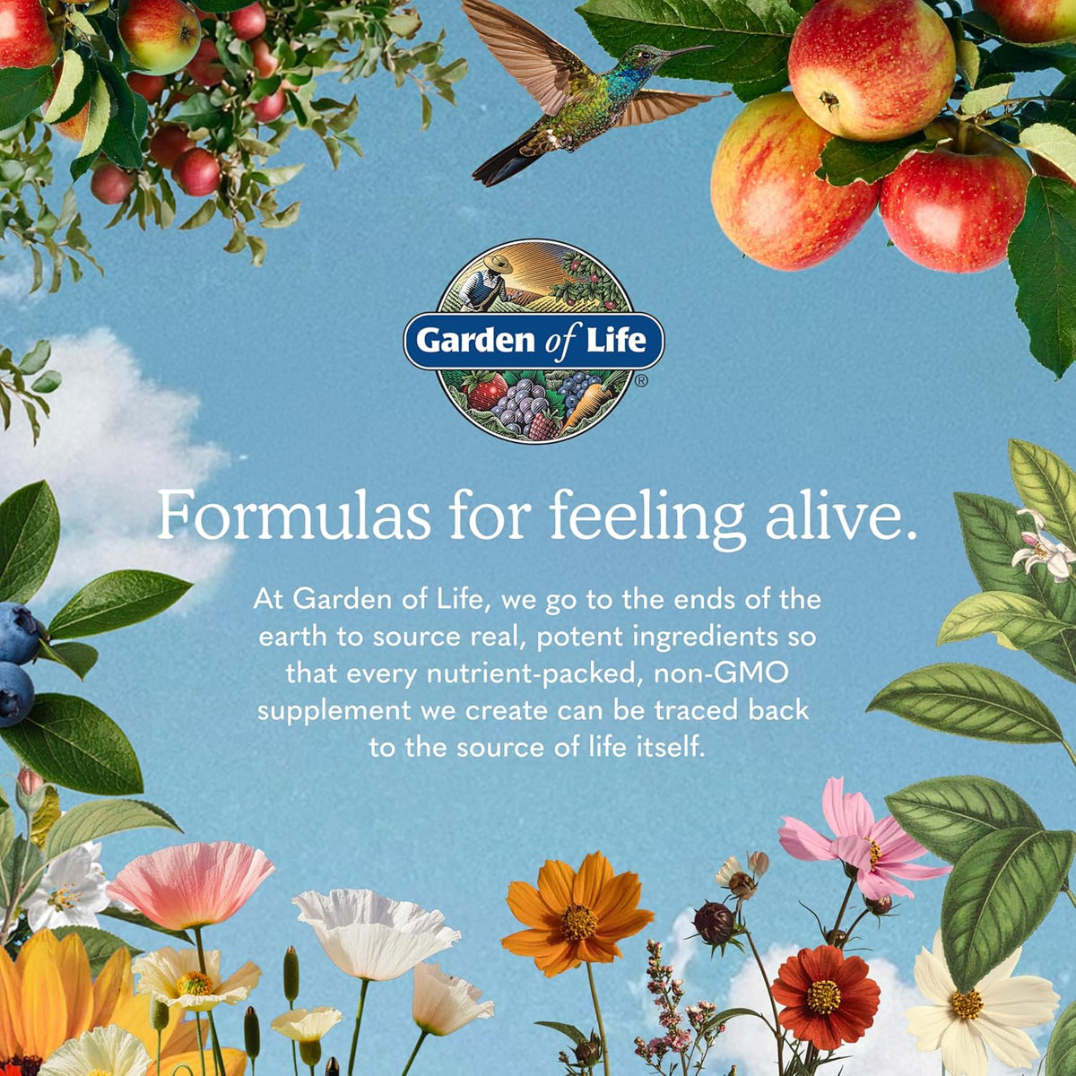 Garden of Life Minami Prenatal Omega-3 DHA Fish Oil Supplement with 480mg DHA & 104mg EPA – Prenatal Omega 3 Fish Oil for Pregnancy & Breastfeeding, Non-GMO, Lemon Flavored, 30 Softgels