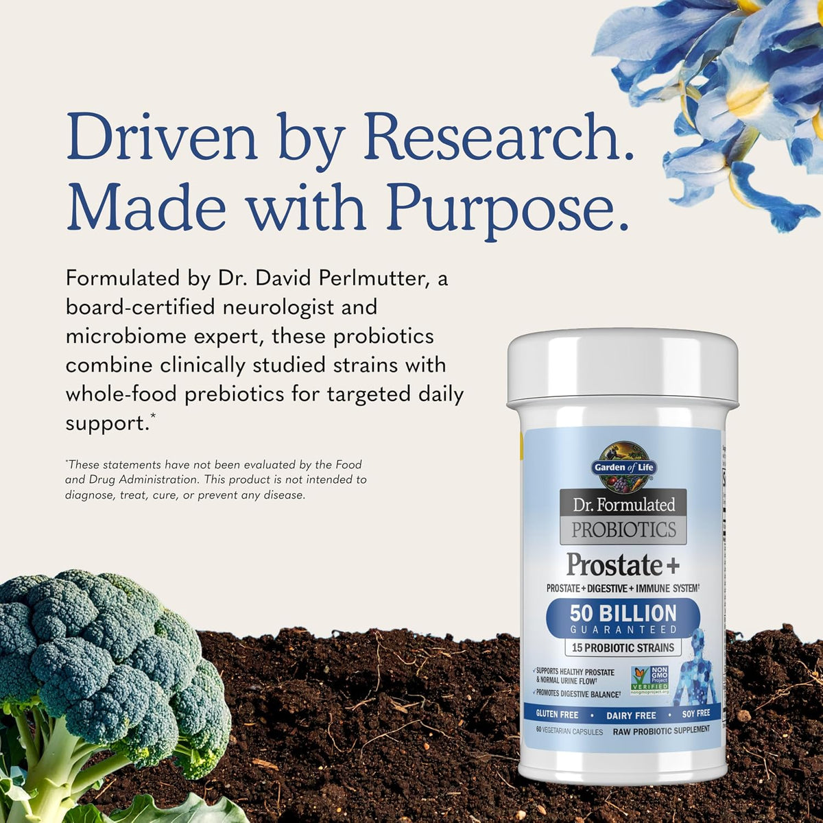 Garden Of Life, Dr Formulated Probiotics Prostate Plus Vcap, 60 Veggie Caps
